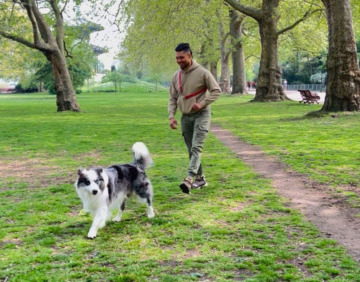 Why Daily Group Walks Help Dogs Thrive in London