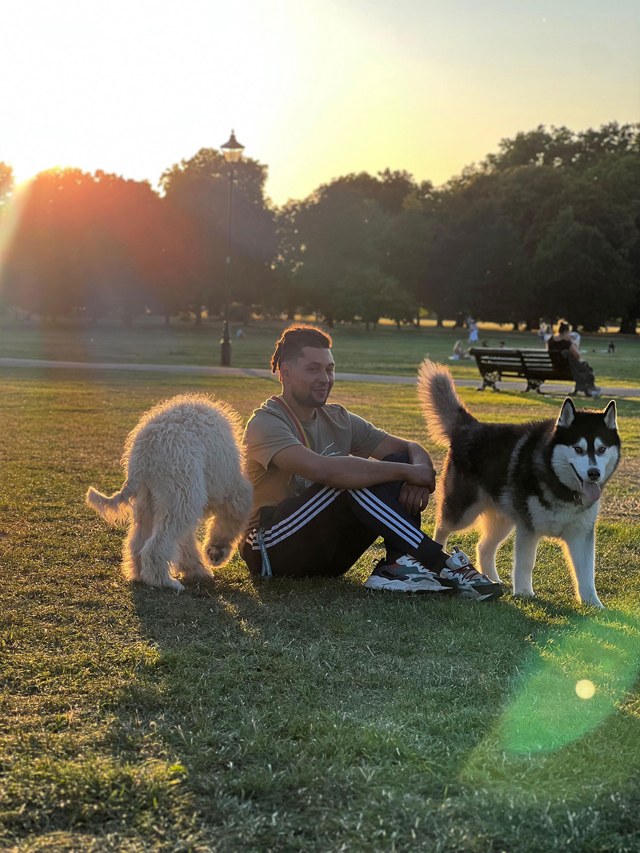 A Day in the Life of a Samba Dogs Walker